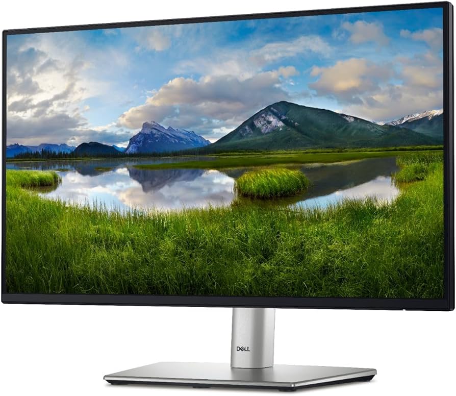 Monitor Dell P2422h 24" FHD