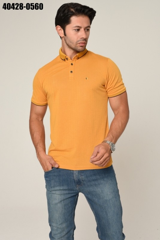 Men's polo shirt with stylish design