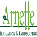 Arnette